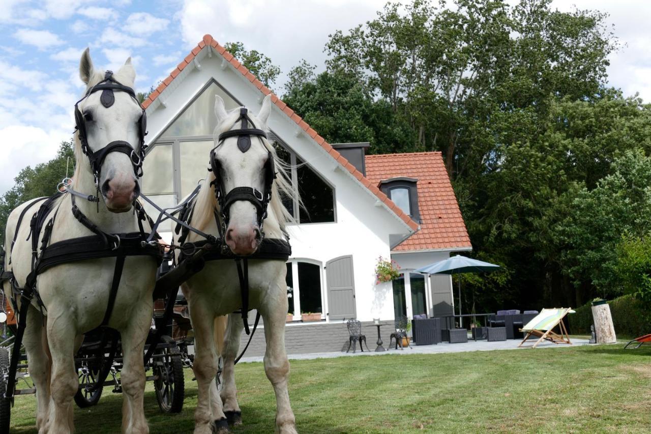 La Garonde Bed & Breakfast Boeschepe Ngoại thất bức ảnh